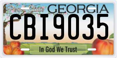 GA license plate CBI9035