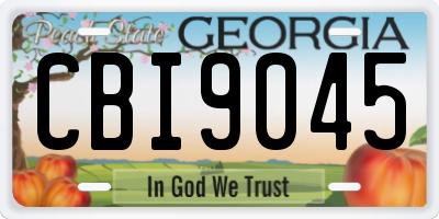GA license plate CBI9045