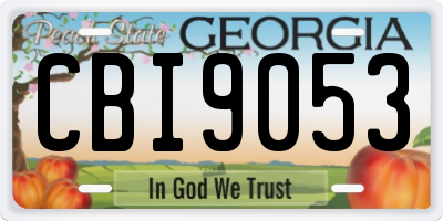GA license plate CBI9053