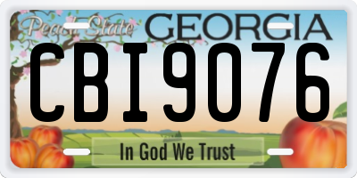GA license plate CBI9076