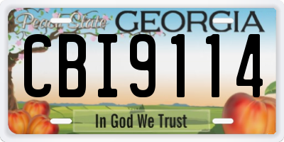 GA license plate CBI9114