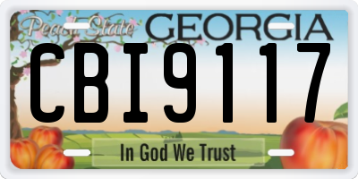 GA license plate CBI9117