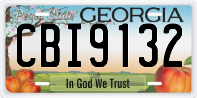 GA license plate CBI9132