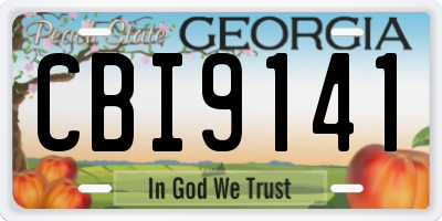 GA license plate CBI9141