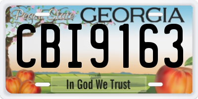 GA license plate CBI9163