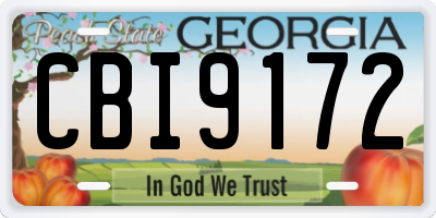 GA license plate CBI9172
