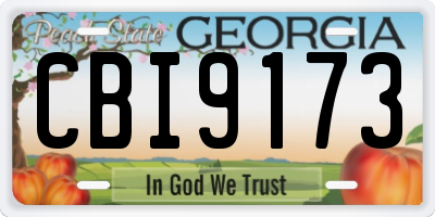 GA license plate CBI9173