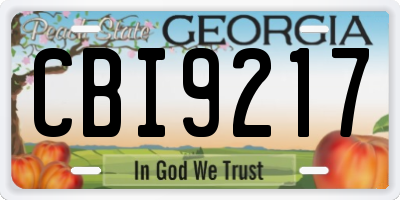 GA license plate CBI9217