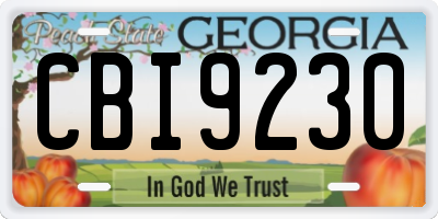 GA license plate CBI9230