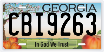 GA license plate CBI9263