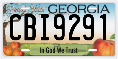 GA license plate CBI9291