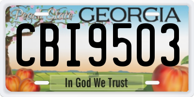 GA license plate CBI9503