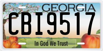 GA license plate CBI9517