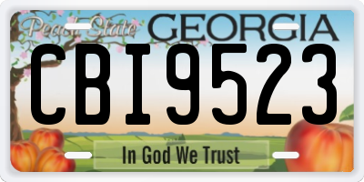 GA license plate CBI9523