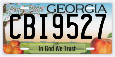 GA license plate CBI9527