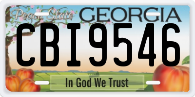 GA license plate CBI9546