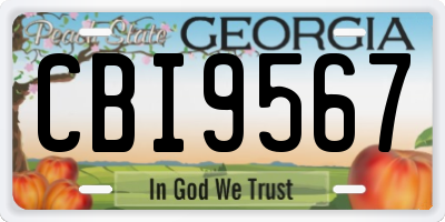 GA license plate CBI9567