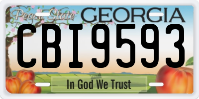 GA license plate CBI9593