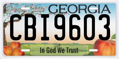 GA license plate CBI9603