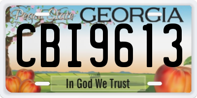 GA license plate CBI9613