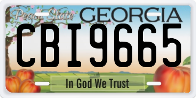 GA license plate CBI9665