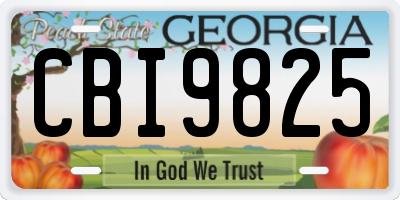 GA license plate CBI9825