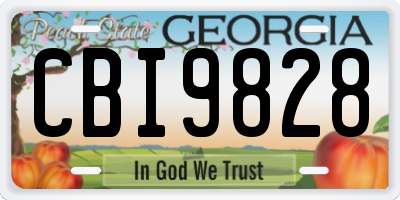 GA license plate CBI9828