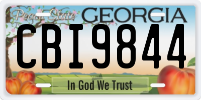 GA license plate CBI9844