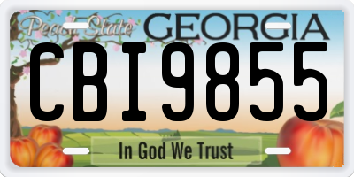 GA license plate CBI9855