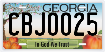 GA license plate CBJ0025