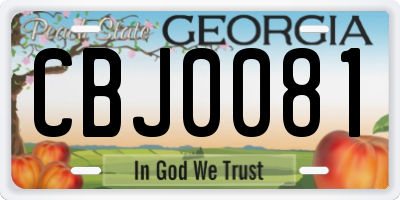GA license plate CBJ0081