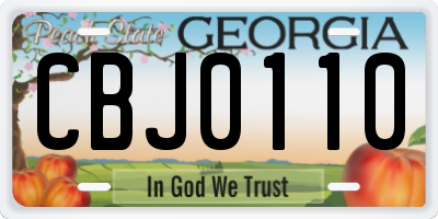 GA license plate CBJ0110