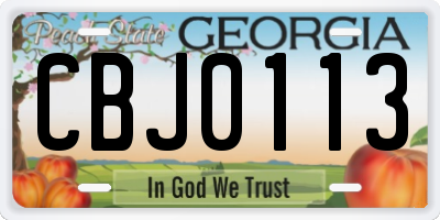 GA license plate CBJ0113