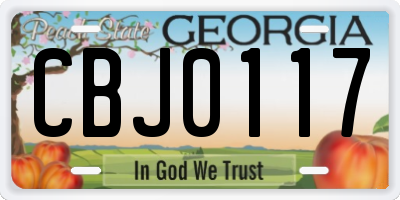 GA license plate CBJ0117