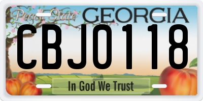 GA license plate CBJ0118