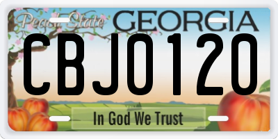 GA license plate CBJ0120