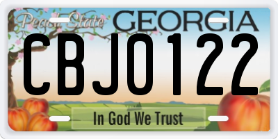 GA license plate CBJ0122
