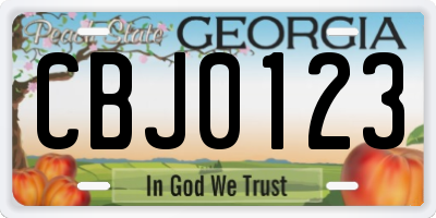 GA license plate CBJ0123