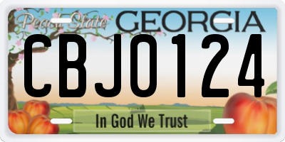 GA license plate CBJ0124