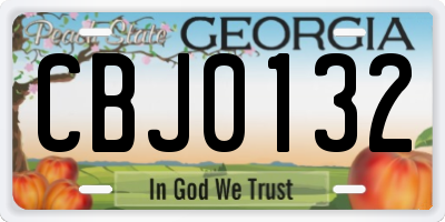 GA license plate CBJ0132