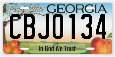 GA license plate CBJ0134
