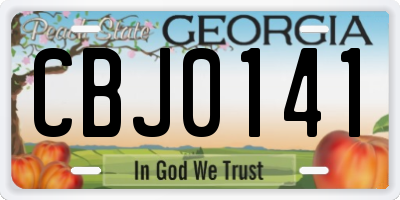 GA license plate CBJ0141