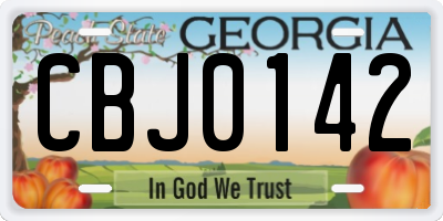 GA license plate CBJ0142