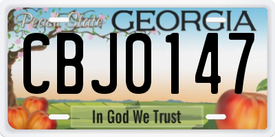 GA license plate CBJ0147