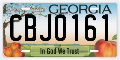 GA license plate CBJ0161