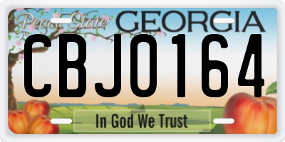 GA license plate CBJ0164