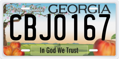 GA license plate CBJ0167