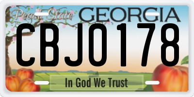 GA license plate CBJ0178