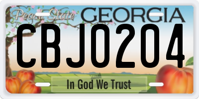 GA license plate CBJ0204