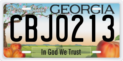 GA license plate CBJ0213